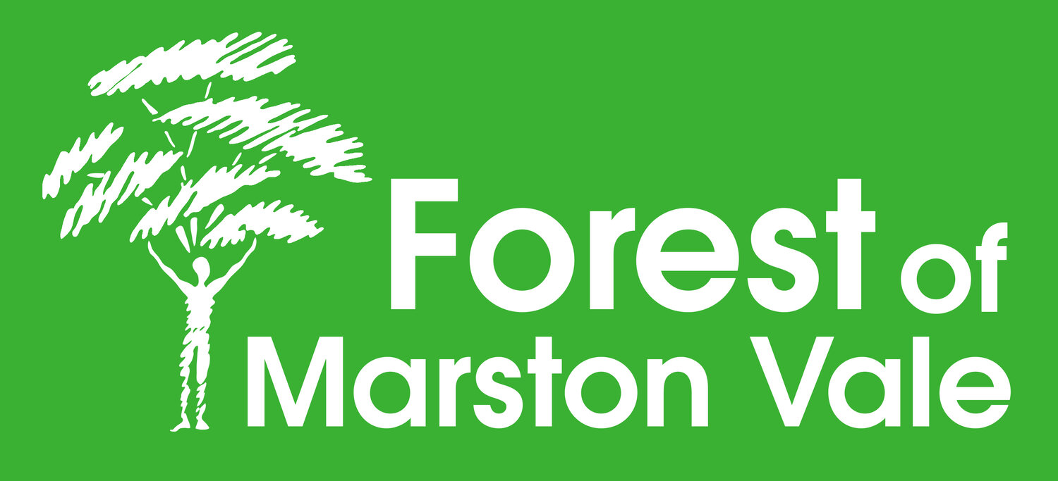 Forest of Marston Vale